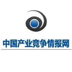 中國產業(yè)競爭情報網 專業(yè)信息咨詢服務的戰(zhàn)略價值與應用
